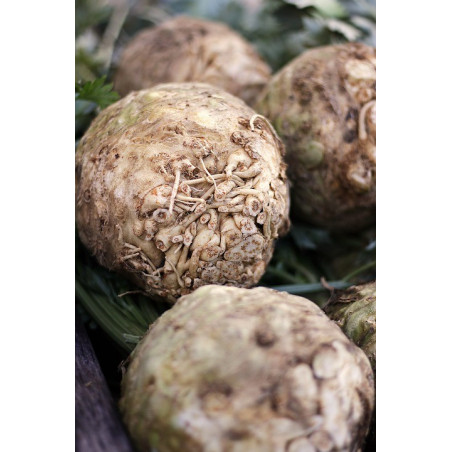 Sellerie 1/2kg